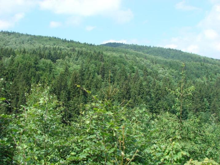 fot&#x2e;&#x20;R&#x2e;&#x20;Lampasiak