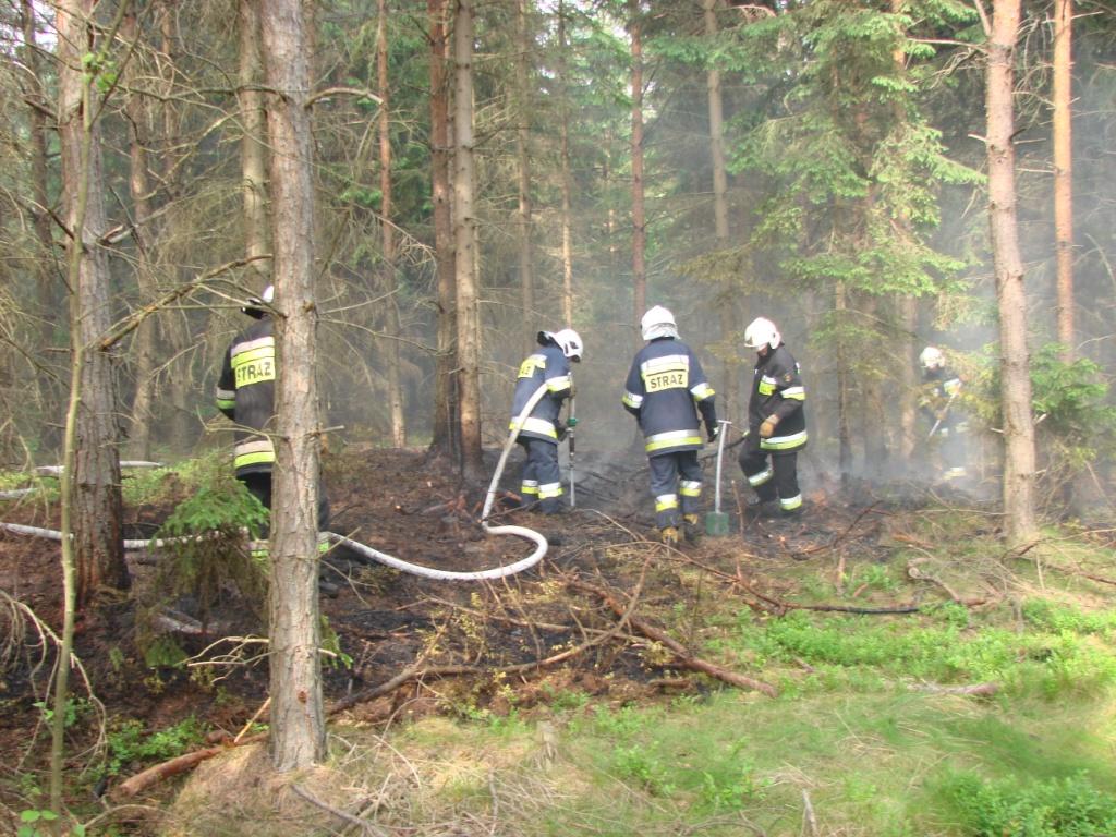 Strażacy w akcji - 2013 (fot. R. Lampasiak)