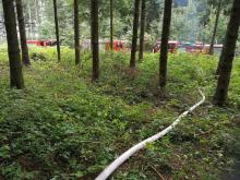Rozpoczynamy akcję bezpośrednią ochrony przeciwpożarowej w lasach !